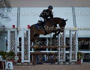 Quality Tosc Tour2013- S5 1868 : Arezzo, Cavalli d'Italia, Quality Up, Toscana Tour 2013, foto di Stefano Secchi ©